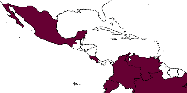 map of Hypomicrogaster koinos     Valerio, 2015